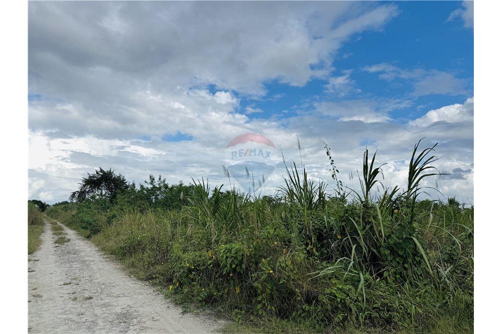 Commercial - Land - Libertad, Corozal District, Belize - Caribbean & Central Ameri - 7 - 901411007-98
