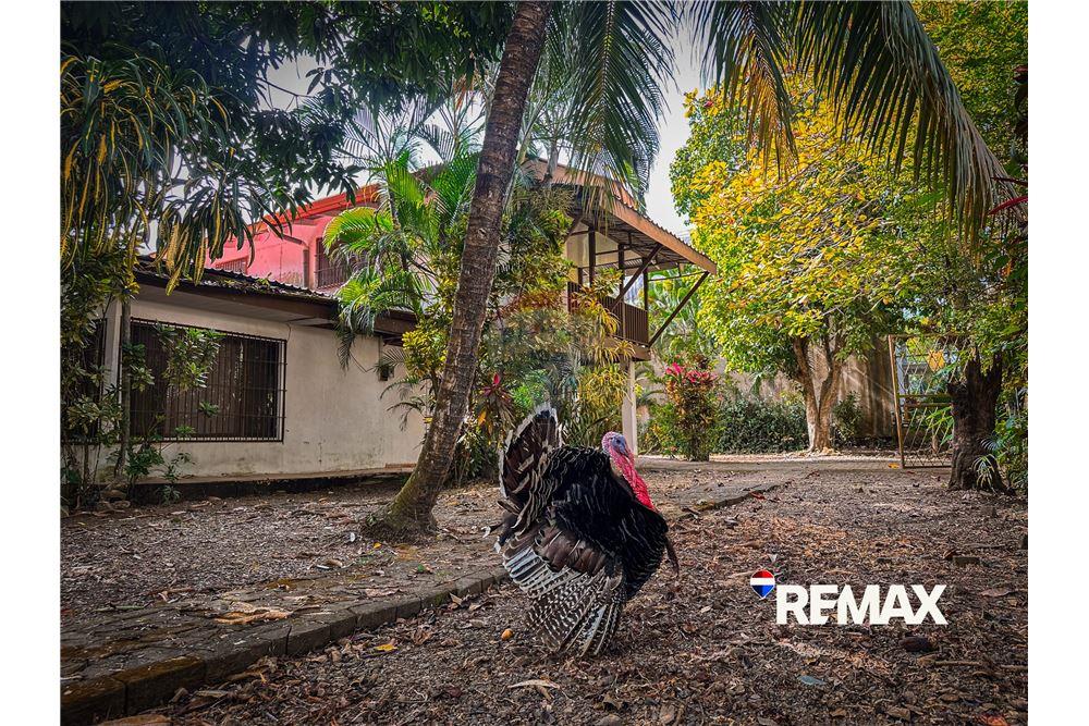 Residential - Villa - Jaco - Herradura, Puntarenas- Garabito, Costa Rica - Caribbean & Central Ameri - 10 - 90168050-34