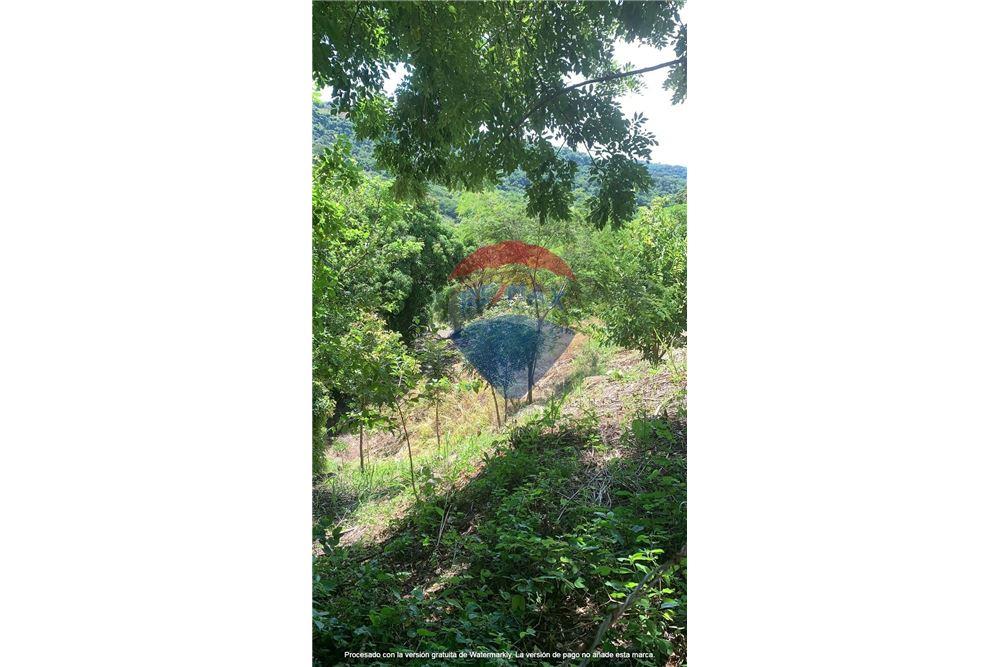 Land - For Sale - Panchimalco, San Salvador, El Salvador - 2 - 901901066-4