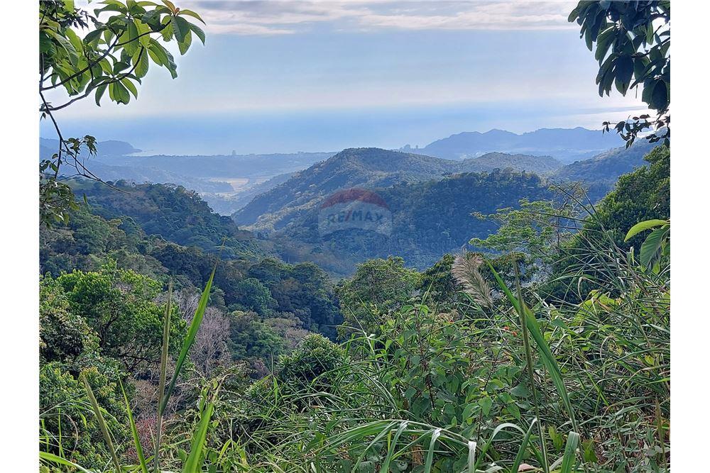 Surface commerciale - Autre terrain - San José, San José, Costa Rica - Caribbean & Central Ameri - 23 - 90168030-68