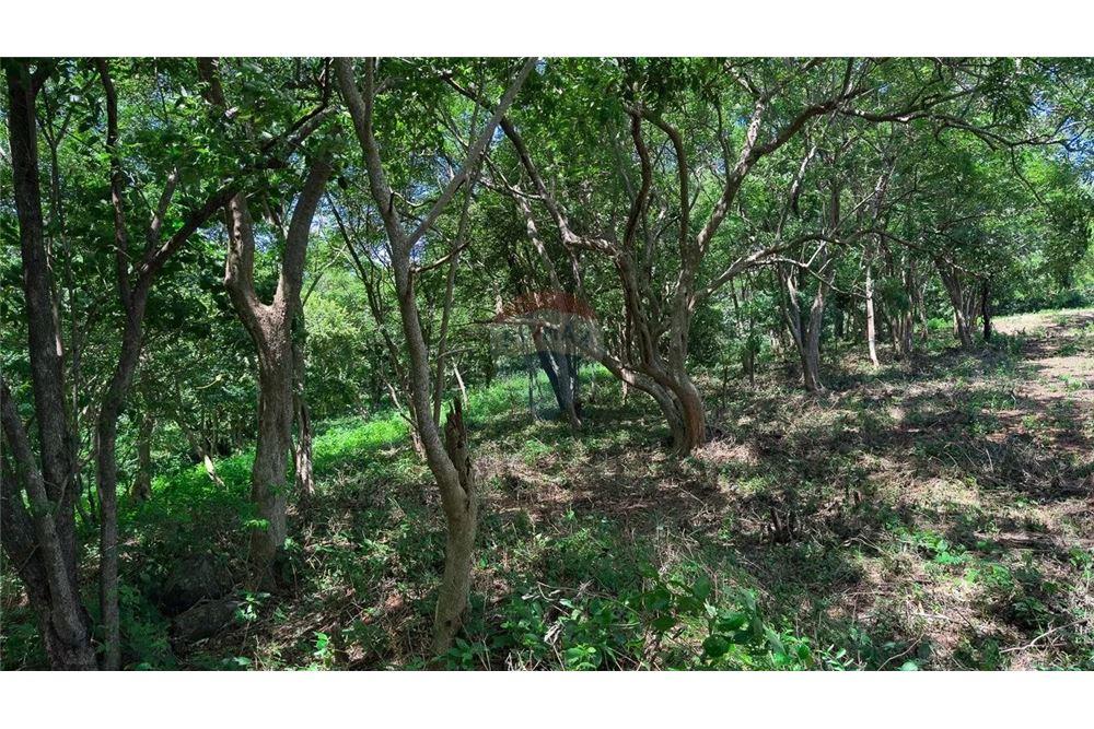 Commercial - Land - San Juan del Sur, Rivas, Nicaragua - Caribbean & Central Ameri - 6 - 90119008-99