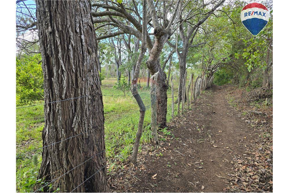 Commercial - Land - Nandaime, Granada, Nicaragua - Caribbean & Central Ameri - 15 - 90119010-73
