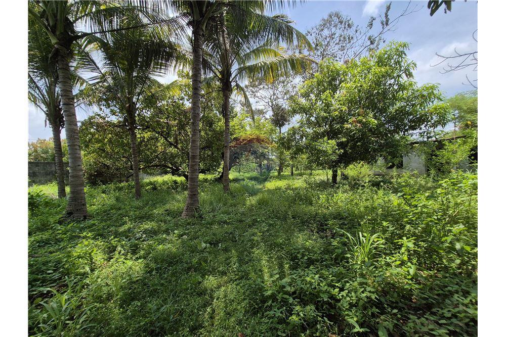 Grondstuk - Te Koop - Retalhuleu, Retalhuleu, Guatemala - 22 - 902641002-6