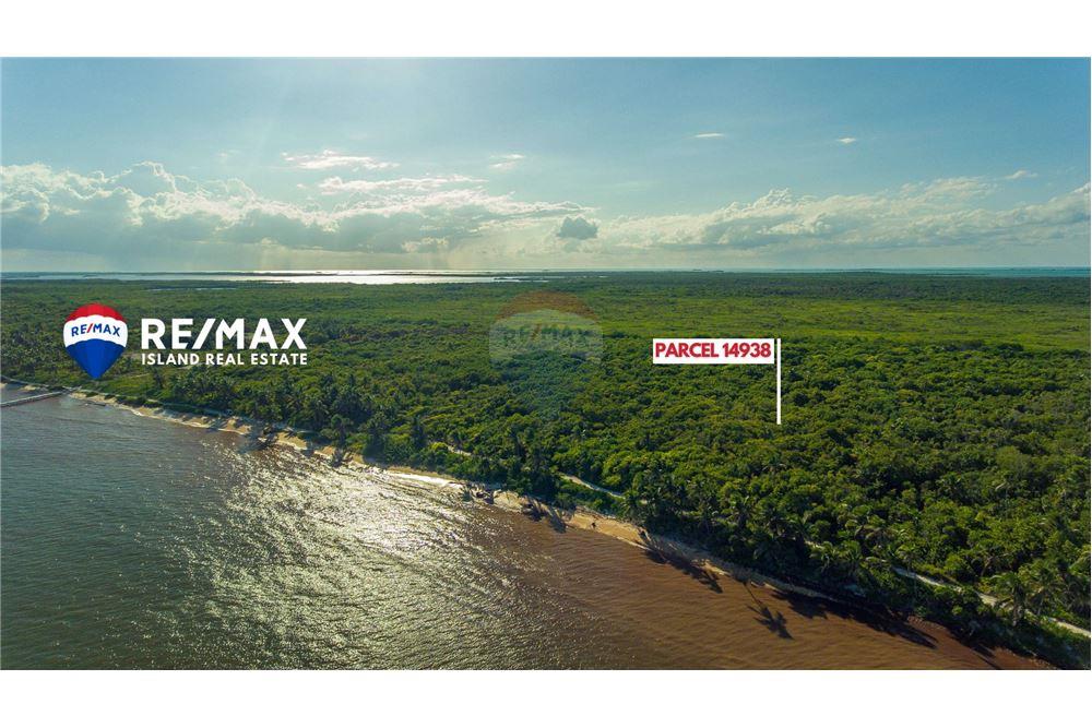 Commercial - Land - Ambergris Caye, Ambergris Caye, Belize - Caribbean & Central Ameri - 4 - 90135015-94