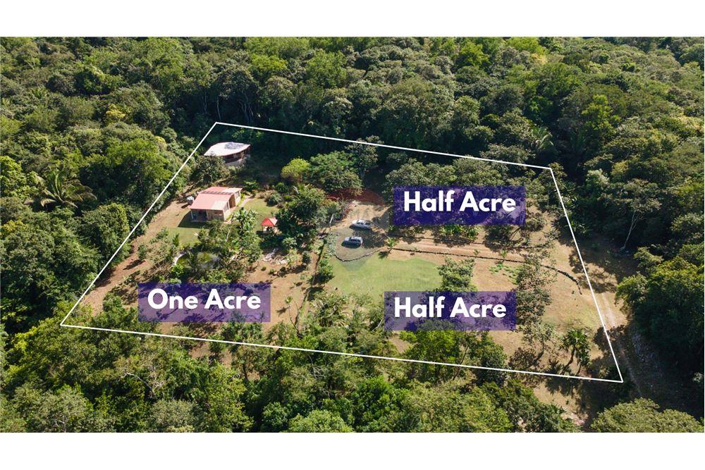 Residential - Villa - Bullet Tree Falls, Cayo District, Belize - Caribbean & Central Ameri - 13 - 901411005-164