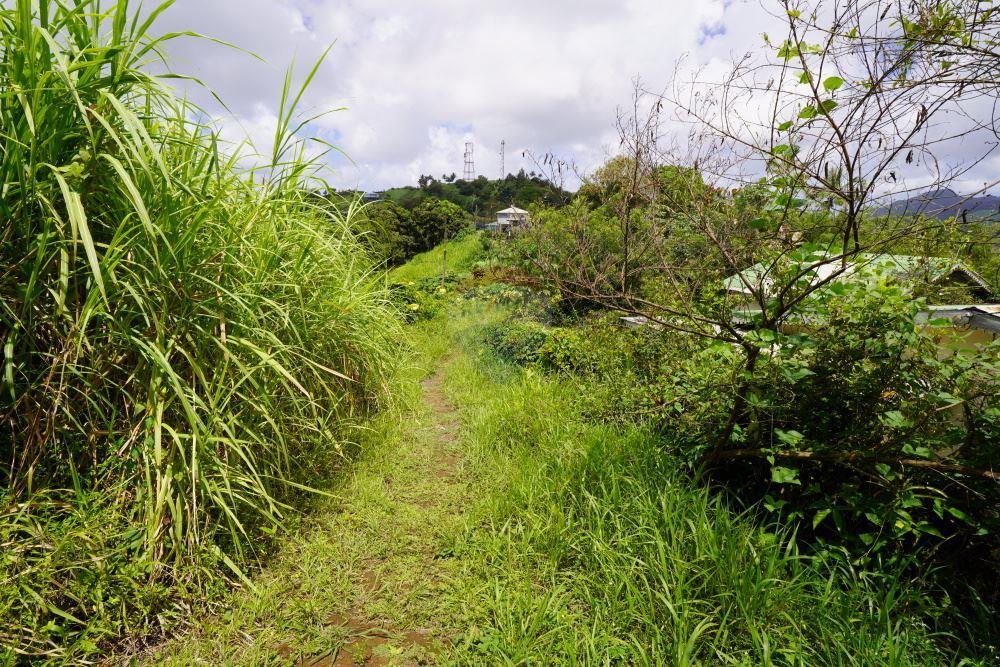 商业 - 土地 - Belmont, St Vincent, St Vincent and the Grenadines - Caribbean & Central Ameri - 10 - 90109001-315