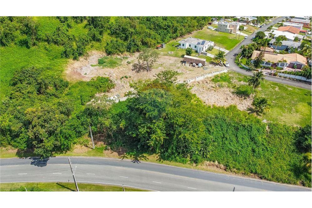 Commercial - Land - Hacienda Las Garzas, Rio Grande, Puerto Rico - Caribbean & Central Ameri - 6 - 902461007-10