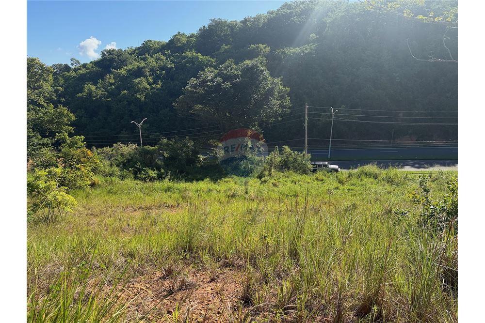 Land - For Sale - Fajardo, Fajardo, Puerto Rico - 3 - 90156038-96