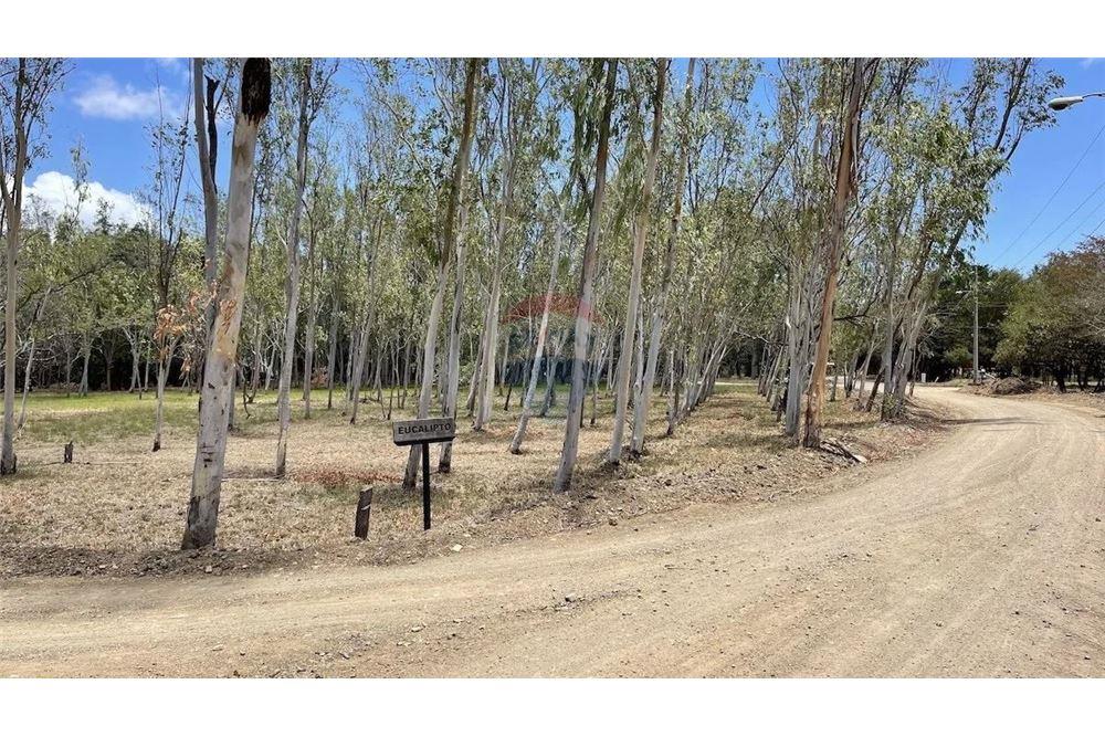 Commercial - Land - Tola, Rivas, Nicaragua - Caribbean & Central Ameri - 4 - 90119008-114