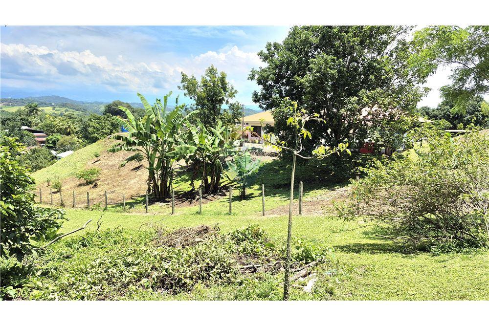 Commercial - Land - Atenas, Alajuela- Atenas, Costa Rica - Caribbean & Central Ameri - 5 - 90128007-187