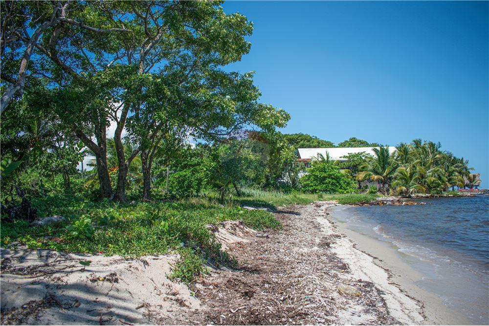 Comercial - Terreno - Placencia, Stann Creek District, Belice - Caribbean & Central Ameri - 12 - 90127003-302