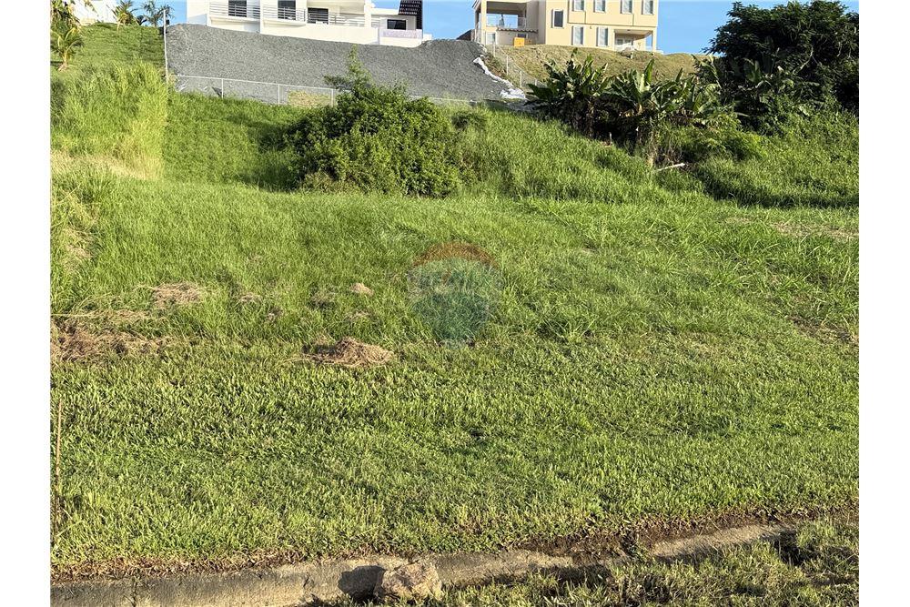 Villa - For Sale - Mans Playa Hucares, Naguabo, Puerto Rico - 3 - 90156038-95