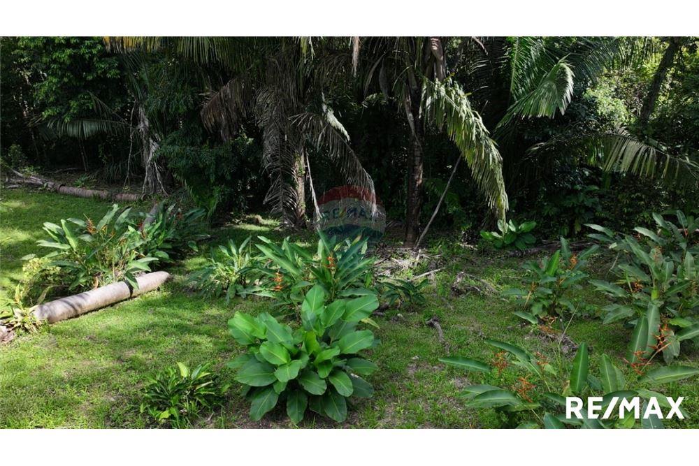 Comercial - Terreno - Parrita, Puntarenas - Parrita, Costa Rica - Caribbean & Central Ameri - 15 - 90168045-21