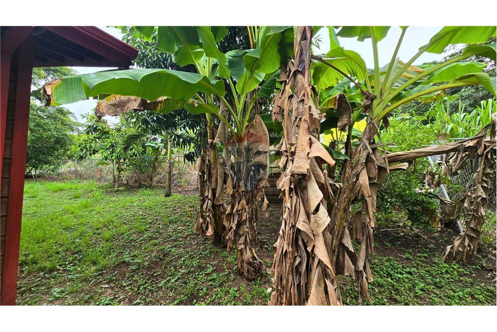 Residential - Villa - San Ignacio, Cayo District, Belize - Caribbean & Central Ameri - 12 - 901411005-162