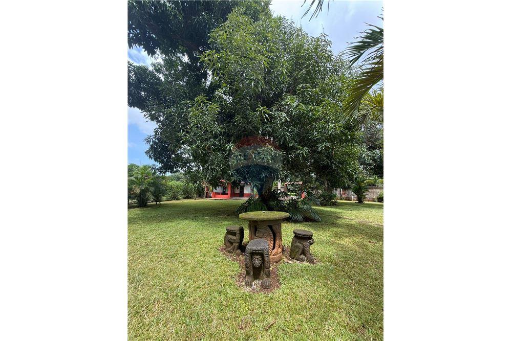 Villa - For Sale - San Mateo, Alajuela- San Mateo, Costa Rica - 5 - 902701010-2