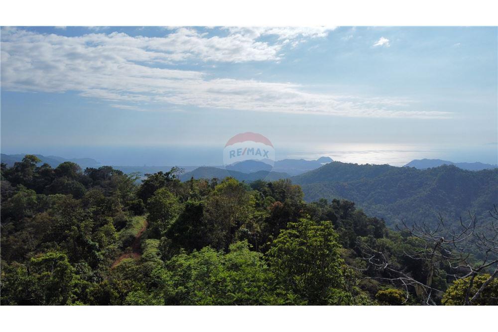 Surface commerciale - Autre terrain - San José, San José, Costa Rica - Caribbean & Central Ameri - 7 - 90168030-68