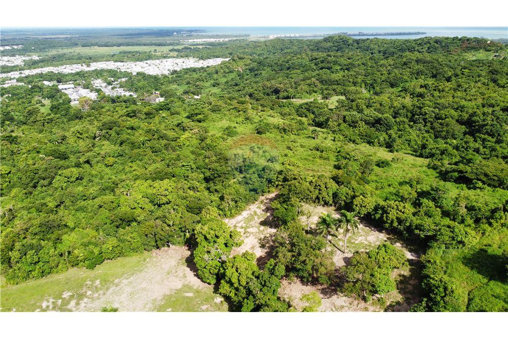 Commercial - Land - Rio Grande, Rio Grande, Puerto Rico - Caribbean & Central Ameri - 5 - 902461007-23