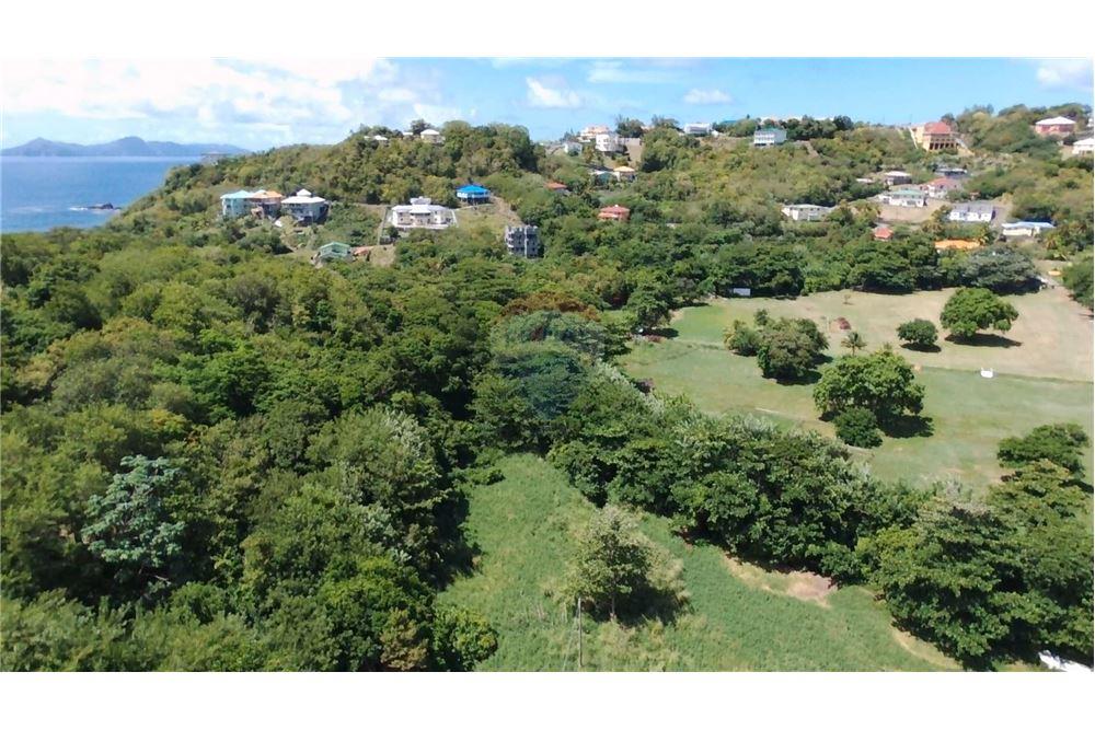Commercial - Land - Prospect, St Vincent, St Vincent and the Grenadines - Caribbean & Central Ameri - 9 - 90109004-61