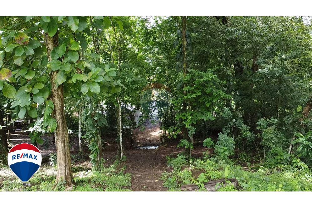 Commercio - Terreno - San José, San José, Costa Rica - Caribbean & Central Ameri - 3 - 90168030-67