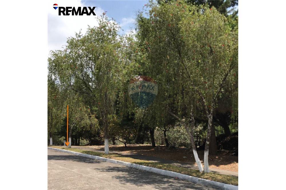 Land - For Sale - Santa Catarina Pinula, Guatemala, Guatemala - 7 - 902611001-88