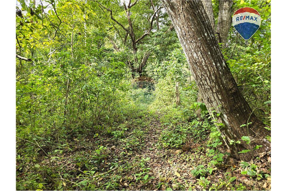 Commercial - Land - Nandaime, Granada, Nicaragua - Caribbean & Central Ameri - 11 - 90119010-73