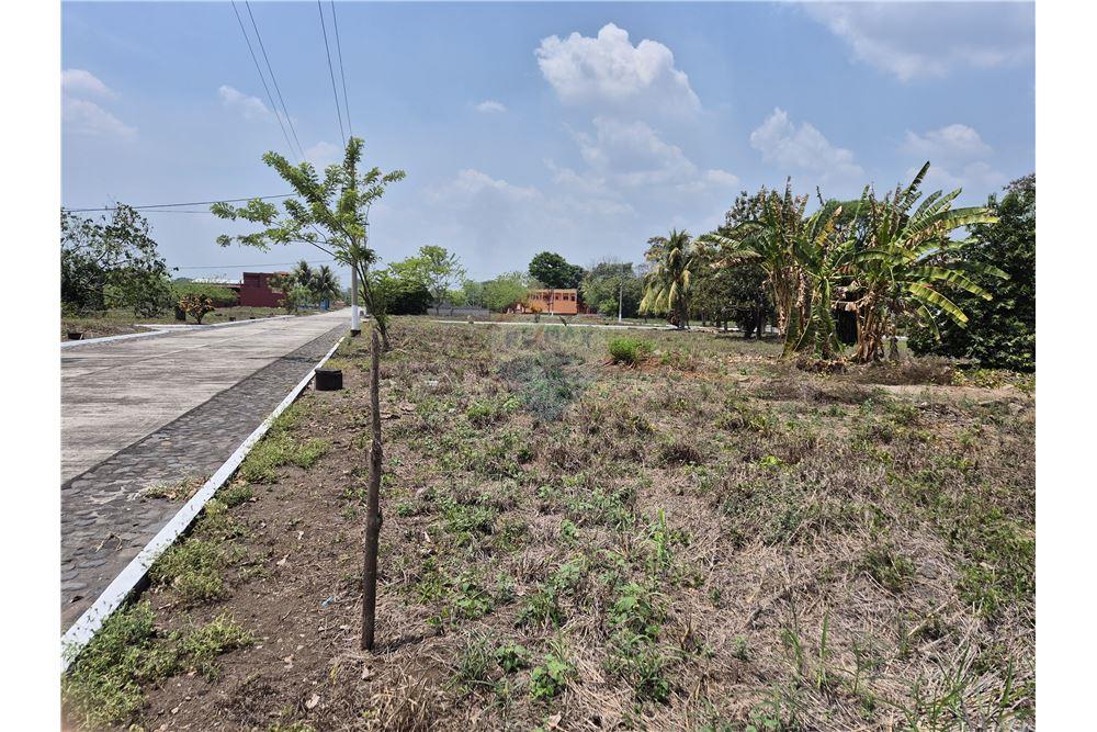 Land - For Sale - Rio Bravo, Suchitepéquez, Guatemala - 6 - 902641001-1