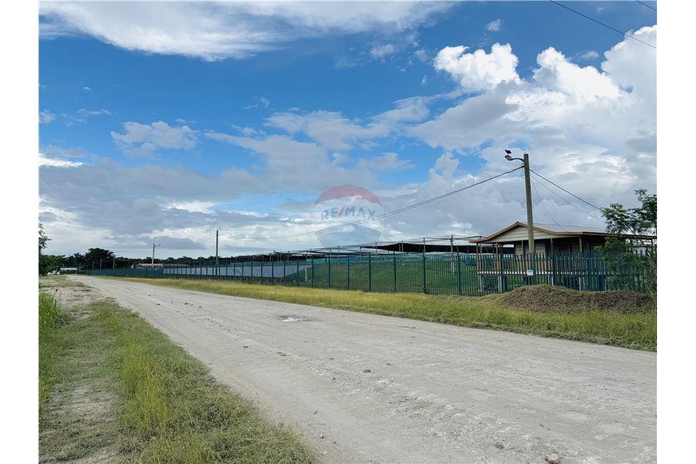 Commercial - Land - Libertad, Corozal District, Belize - Caribbean & Central Ameri - 11 - 901411007-98
