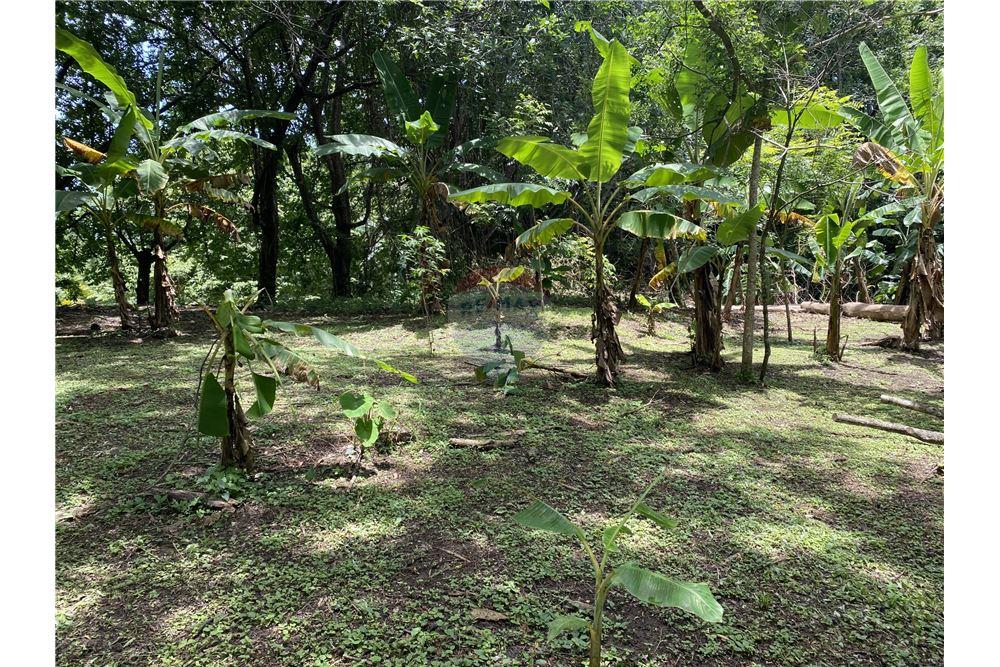 Villa - Te Koop - Manzanillo, Puntarenas - Puntarenas, Costa Rica - 22 - 90110006-43