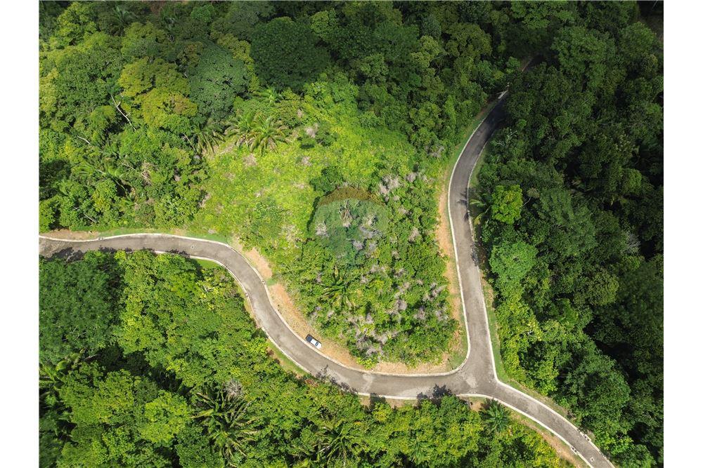 Surface commerciale - Autre terrain - Parrita - Esterillos, Puntarenas - Parrita, Costa Rica - Caribbean & Central Ameri - 3 - 90168039-31