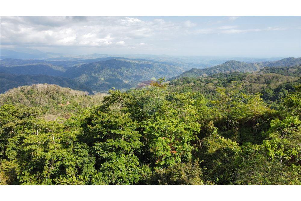 Surface commerciale - Autre terrain - San José, San José, Costa Rica - Caribbean & Central Ameri - 15 - 90168030-68