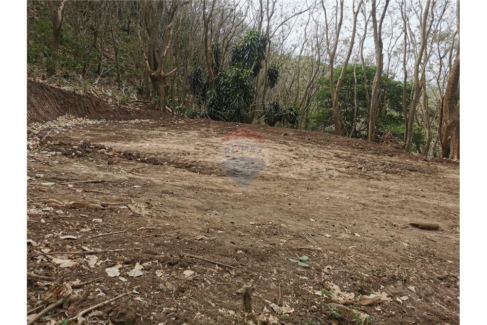 Commercial - Land - Atenas, Alajuela- Atenas, Costa Rica - Caribbean & Central Ameri - 5 - 90128007-170