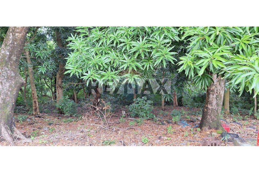 Land - For Sale - Rosario de Mora, San Salvador, El Salvador - 3 - 902271006-32