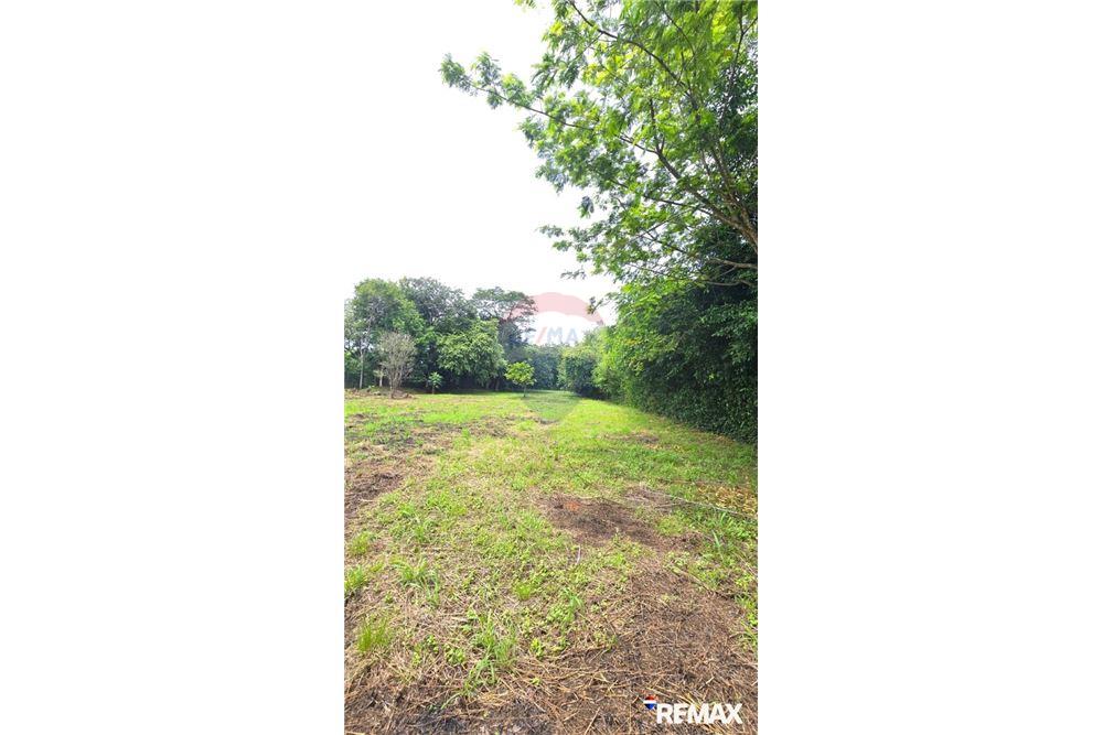 Commercial - Land - Jaco - Playa Hermosa, Puntarenas- Garabito, Costa Rica - Caribbean & Central Ameri - 18 - 90168005-700