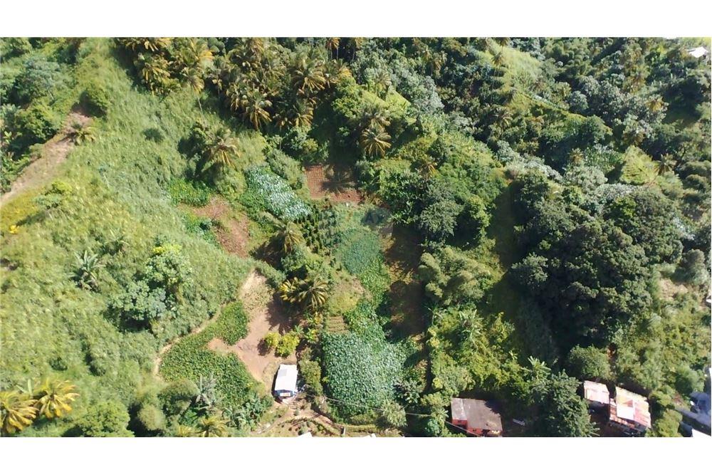 商业 - 土地 - Lowmans Windward, St Vincent, St Vincent and the Grenadines - Caribbean & Central Ameri - 14 - 90109001-320