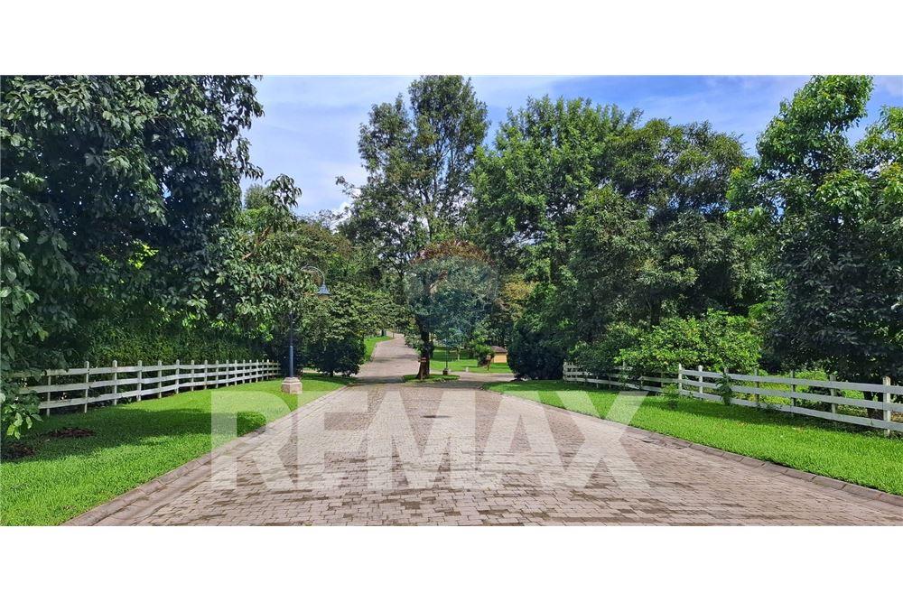 Grondstuk - Te Koop - Santa Elena Barillas, Guatemala, Guatemala - 6 - 902091017-26