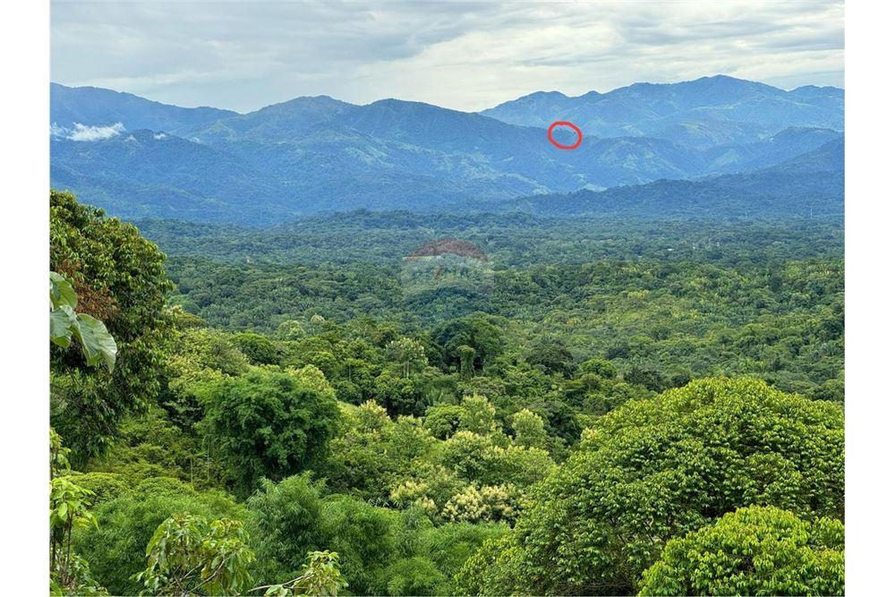 Commercial - Land - León XIII, San José - Tibás, Costa Rica - Caribbean & Central Ameri - 2 - 90168016-213