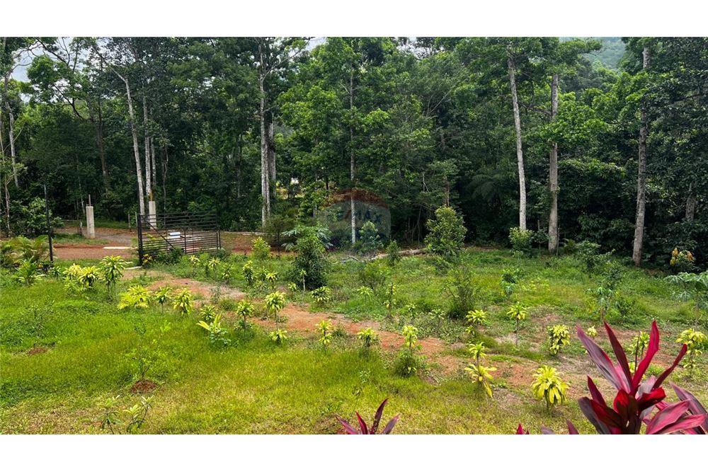 Commercial - Land - Bijagual, Puntarenas, Costa Rica - Caribbean & Central Ameri - 7 - 90168042-14