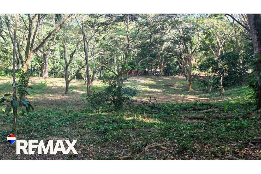 Commercio - Commerciale/Negozi - Jaco - Herradura, Puntarenas- Garabito, Costa Rica - Caribbean & Central Ameri - 3 - 90168013-183