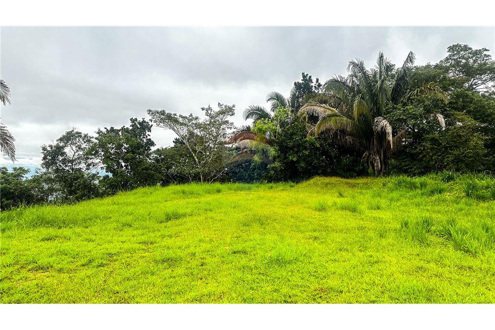 Commercial - Land - Jaco - Jaco, Puntarenas- Garabito, Costa Rica - Caribbean & Central Ameri - 14 - 90168016-216