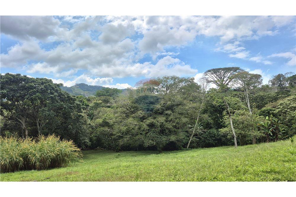 Comercial - Terreno - Atenas, Alajuela- Atenas, Costa Rica - Caribbean & Central Ameri - 3 - 90128007-195