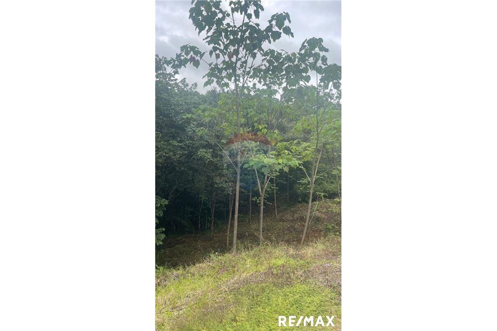 商业 - 土地 - Jaco - Playa Hermosa, Puntarenas- Garabito, 哥斯达黎加 - Caribbean & Central Ameri - 7 - 90168045-18