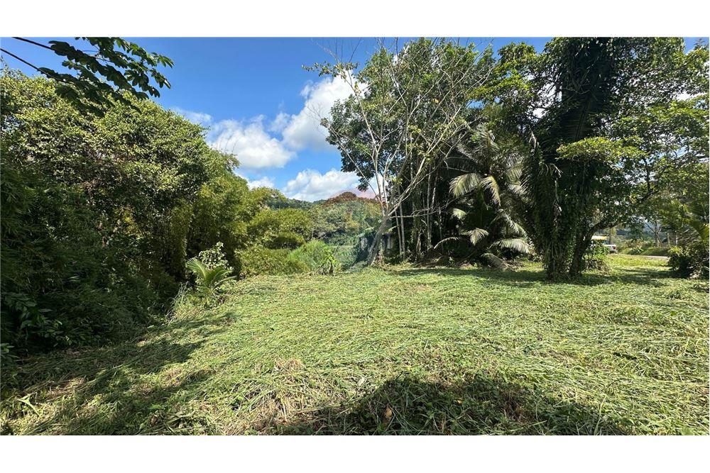 Land - For Sale - Middlesex, Stann Creek District, Belize - 16 - 901951044-45