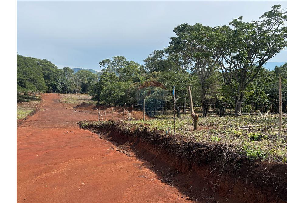 Grondstuk - Te Koop - Atenas, Alajuela- Atenas, Costa Rica - 22 - 90128002-974