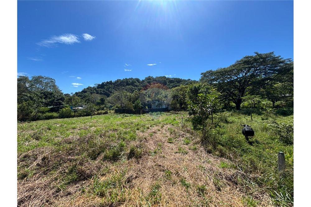 Comercial - Terreno - Atenas, Alajuela- Atenas, Costa Rica - Caribbean & Central Ameri - 28 - 90128002-998