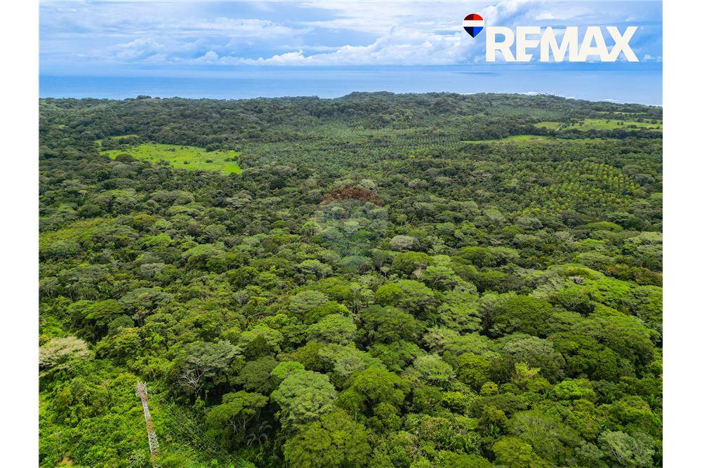 Commercial - Land - Parrita - Esterillos, Puntarenas - Parrita, Costa Rica - Caribbean & Central Ameri - 5 - 90168003-466