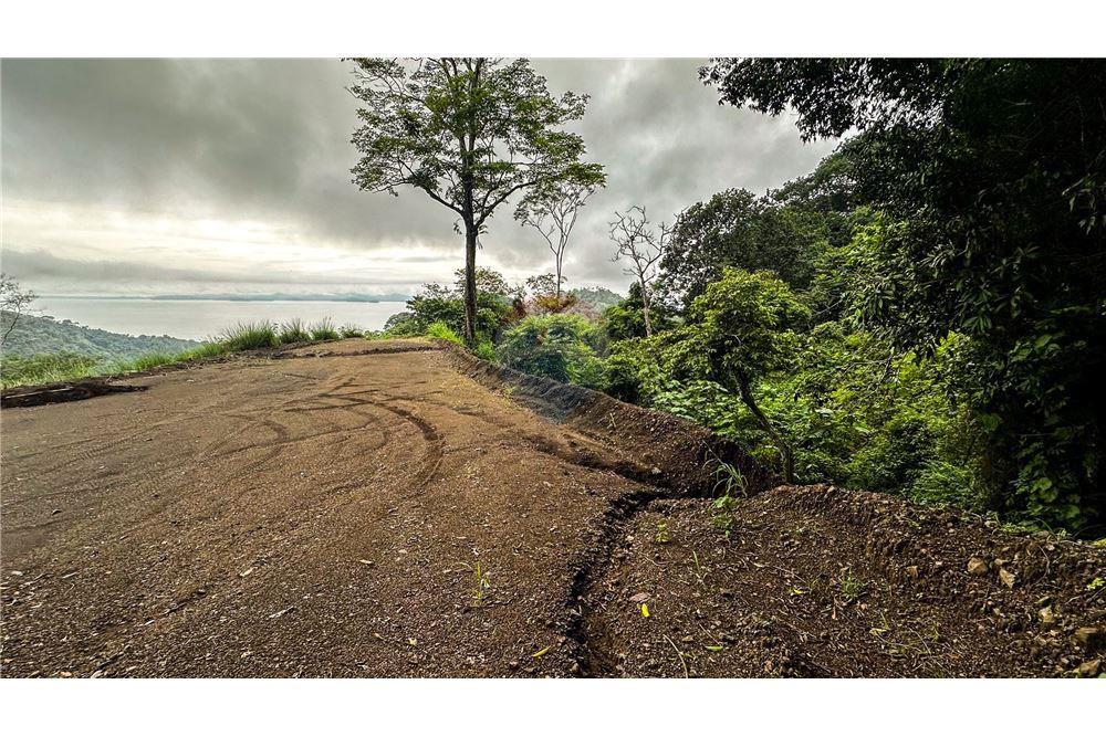 Commercial - Land - Jaco - Jaco, Puntarenas- Garabito, Costa Rica - Caribbean & Central Ameri - 19 - 90168016-217