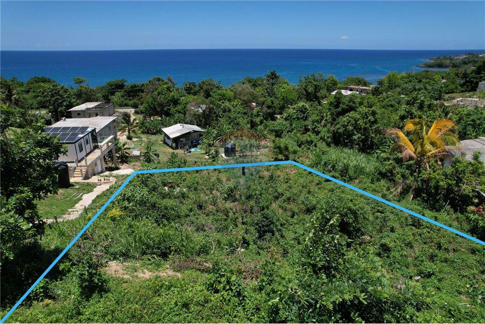 Land - For Sale - Cousins Cove, Hanover Parish, Jamaica - 3 - 902421019-1