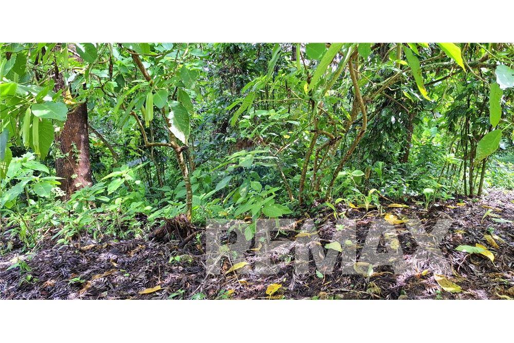 Grondstuk - Te Koop - Santa Elena Barillas, Guatemala, Guatemala - 12 - 902091017-26