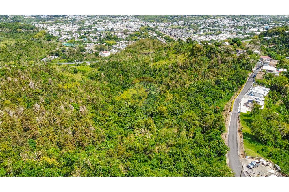 Commercial - Land - Cayey, Cayey, Puerto Rico - Caribbean & Central Ameri - 3 - 902461010-4
