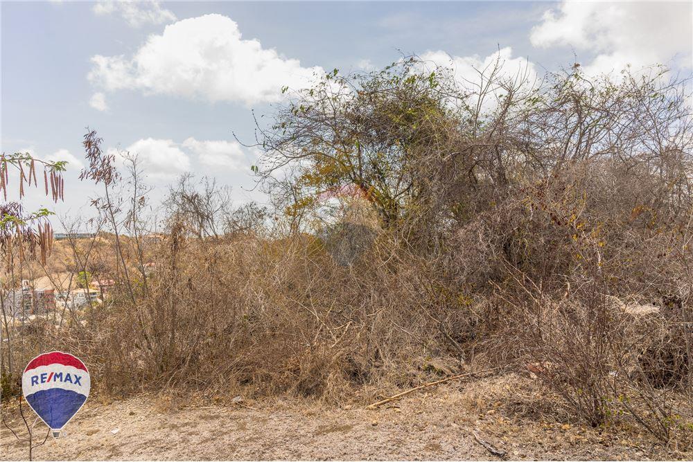 Land - For Sale - Lance aux Epines, Saint George, Grenada - 9 - 902581001-102